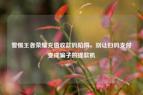 警惕王者荣耀充值收款码陷阱,别让扫码支付变成骗子的提款机