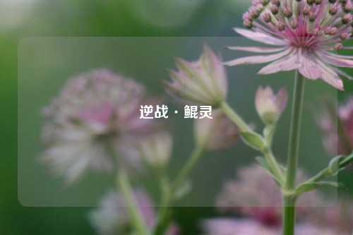 逆战·鲲灵玥