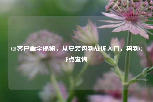 CF客户端全揭秘,从安装包到战场入口,再到CF点查询