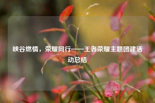 峡谷燃情,荣耀同行——王者荣耀主题团建活动总结