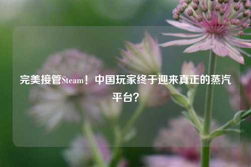 完美接管Steam!中国玩家终于迎来真正的蒸汽平台?