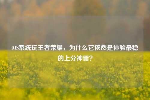 iOS系统玩王者荣耀,为什么它依然是体验最稳的上分神器?