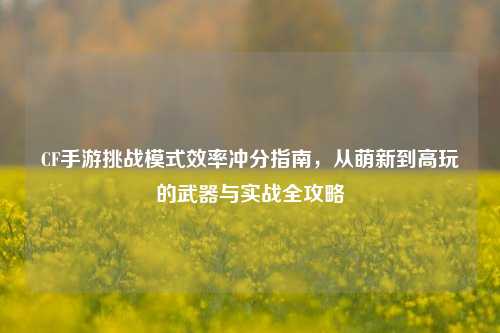 CF手游挑战模式效率冲分指南,从萌新到高玩的武器与实战全攻略