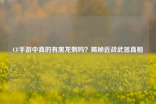 CF手游中真的有黑龙刺吗?揭秘近战武器真相