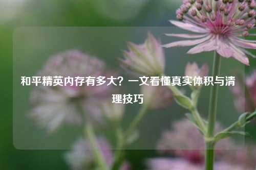 和平精英内存有多大?一文看懂真实体积与清理技巧