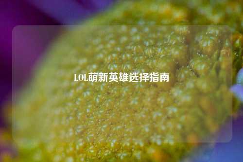LOL萌新英雄选择指南