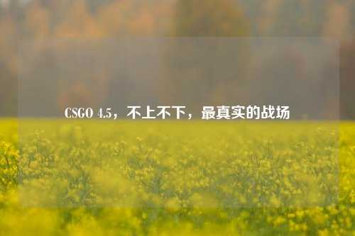 CSGO 4.5，不上不下，最真实的战场