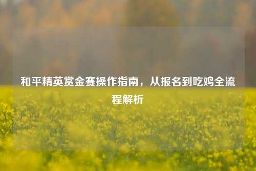 和平精英赏金赛操作指南,从报名到吃鸡全流程解析