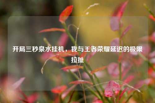 开局三秒泉水挂机,我与王者荣耀延迟的极限拉扯