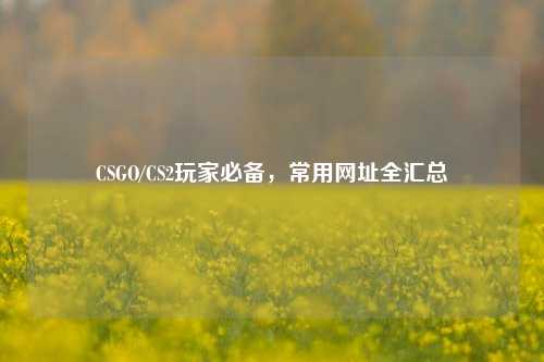 CSGO/CS2玩家必备,常用网址全汇总