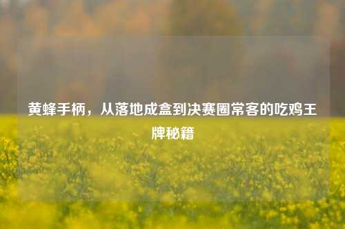 黄蜂手柄,从落地成盒到决赛圈常客的吃鸡王牌秘籍