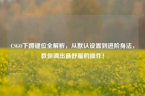 CSGO下蹲键位全解析,从默认设置到进阶身法,教你调出最舒服的操作!