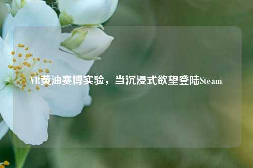 VR黄油赛博实验,当沉浸式欲望登陆Steam
