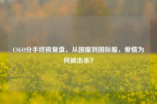 CSGO分手终极复盘,从国服到国际服,爱情为何被击杀?