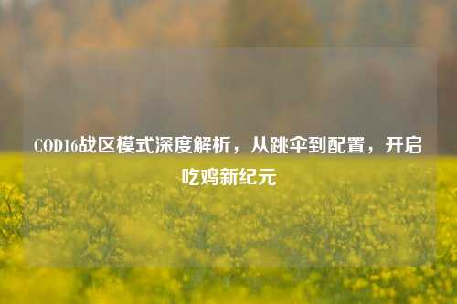 COD16战区模式深度解析,从跳伞到配置,开启吃鸡新纪元