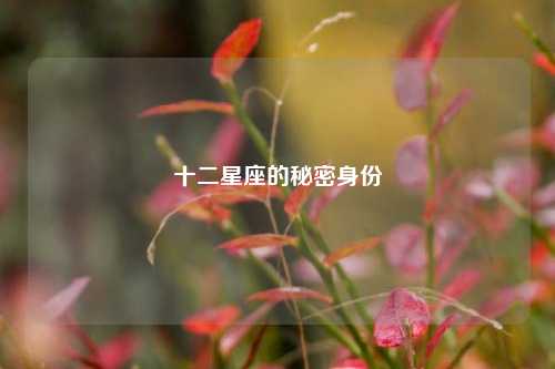 十二星座的秘密身份