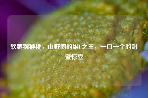 软枣猕猴桃,山野间的维C之王,一口一个的甜蜜惊喜