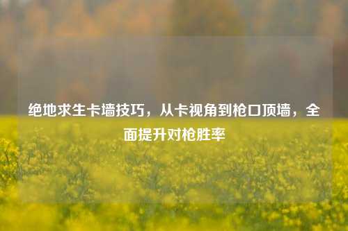 绝地求生卡墙技巧,从卡视角到枪口顶墙,全面提升对枪胜率