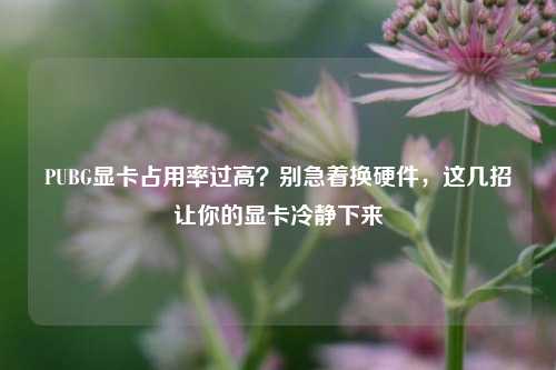 PUBG显卡占用率过高?别急着换硬件,这几招让你的显卡冷静下来