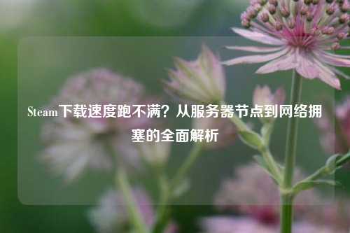 Steam下载速度跑不满?从服务器节点到网络拥塞的全面解析