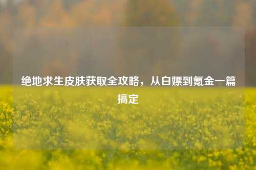 绝地求生皮肤获取全攻略,从白嫖到氪金一篇搞定