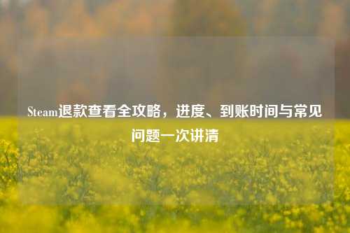 Steam退款查看全攻略,进度、到账时间与常见问题一次讲清