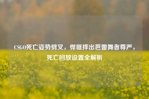 CSGO死亡姿势劈叉,悍匪摔出芭蕾舞者尊严,死亡回放设置全解析