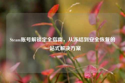 Steam账号解锁定全指南,从冻结到安全恢复的一站式解决方案