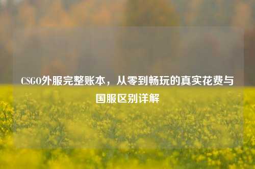 CSGO外服完整账本,从零到畅玩的真实花费与国服区别详解