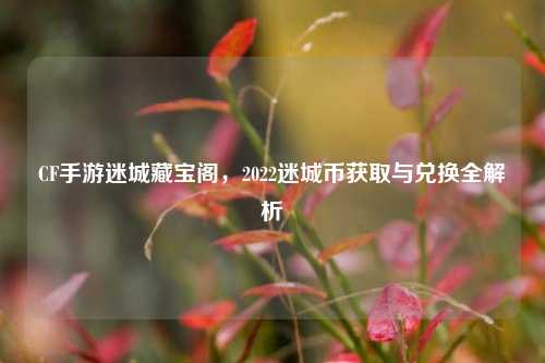 CF手游迷城藏宝阁,2022迷城币获取与兑换全解析