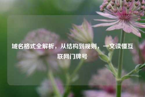 域名格式全解析,从结构到规则,一文读懂互联网门牌号