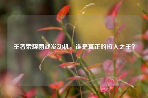 王者荣耀团战发动机,谁是真正的拉人之王?