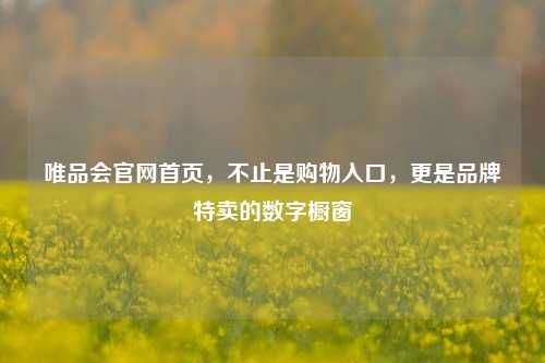 唯品会官网首页,不止是购物入口,更是品牌特卖的数字橱窗