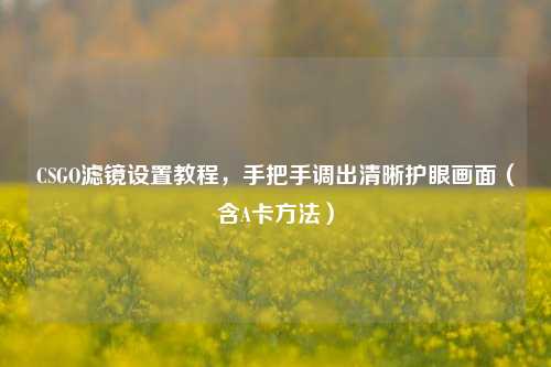 CSGO滤镜设置教程,手把手调出清晰护眼画面(含A卡方法)