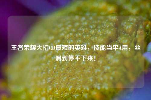 王者荣耀大招CD最短的英雄,技能当平A用,丝滑到停不下来!