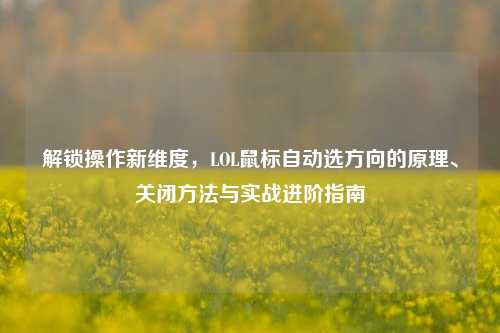 解锁操作新维度,LOL鼠标自动选方向的原理、关闭方法与实战进阶指南