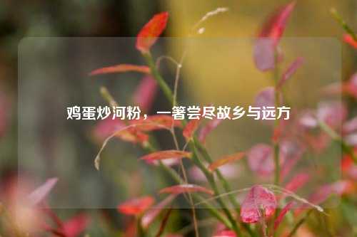 鸡蛋炒河粉,一箸尝尽故乡与远方