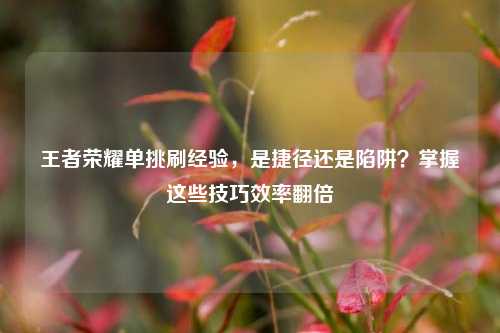 王者荣耀单挑刷经验,是捷径还是陷阱?掌握这些技巧效率翻倍