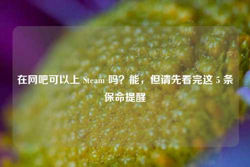 在网吧可以上 Steam 吗？能，但请先看完这 5 条保命提醒