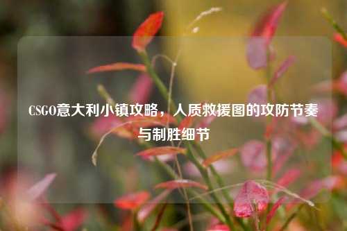 CSGO意大利小镇攻略,人质救援图的攻防节奏与制胜细节