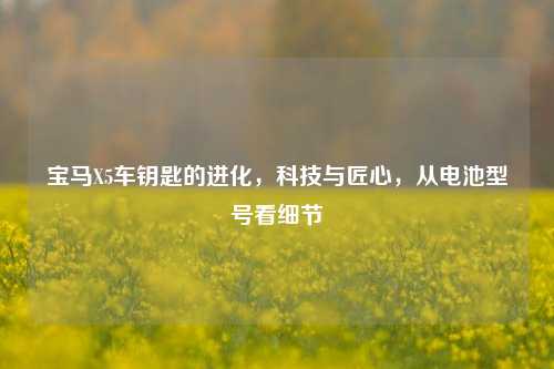 宝马X5车钥匙的进化，科技与匠心，从电池型号看细节