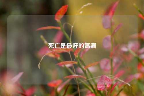 死亡是最好的高潮