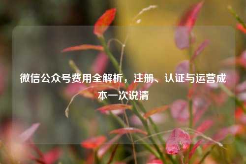 微信公众号费用全解析，注册、认证与运营成本一次说清