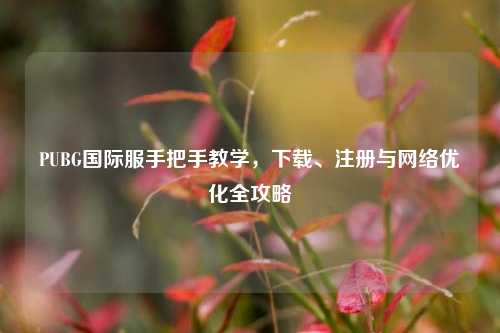 PUBG国际服手把手教学，下载、注册与网络优化全攻略