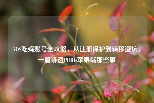 iOS吃鸡账号全攻略，从注册保护到转移避坑，一篇讲透PUBG苹果端那些事