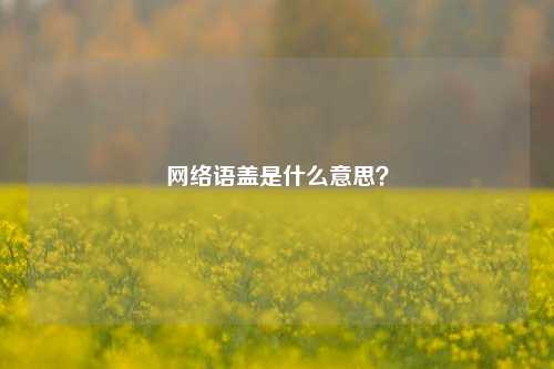 网络语盖是什么意思?