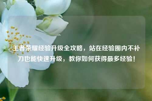 王者荣耀经验升级全攻略,站在经验圈内不补刀也能快速升级,教你如何获得最多经验!