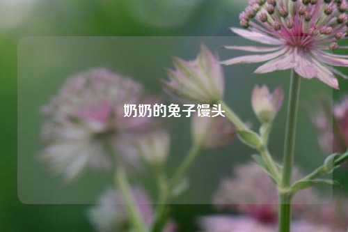 奶奶的兔子馒头