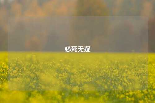 必死无疑