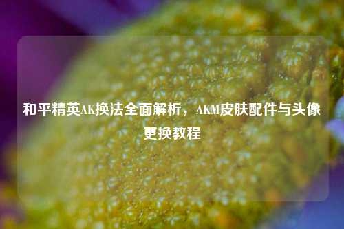 和平精英AK换法全面解析,AKM皮肤配件与头像更换教程